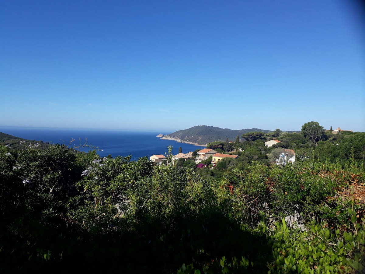 黎凡特岛（ Ile du Levant ）上的迷人平房：「l 'Indigène」