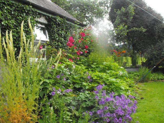 Chestnut Cottage, Banagher, Co Offaly