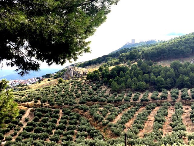 自然和旅游Jaén人均体验