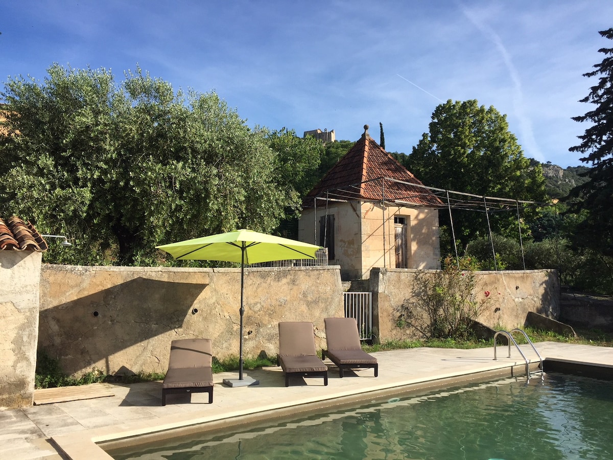 Beautiful house with swimming pool in Provence