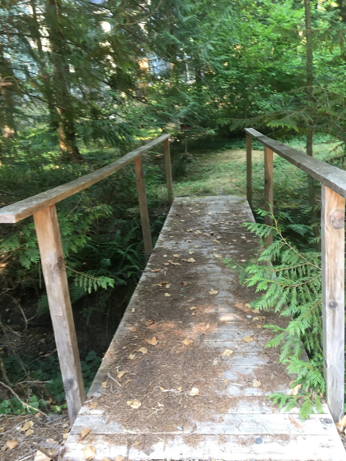 利默里克湖-河畔干燥露营地-帐篷