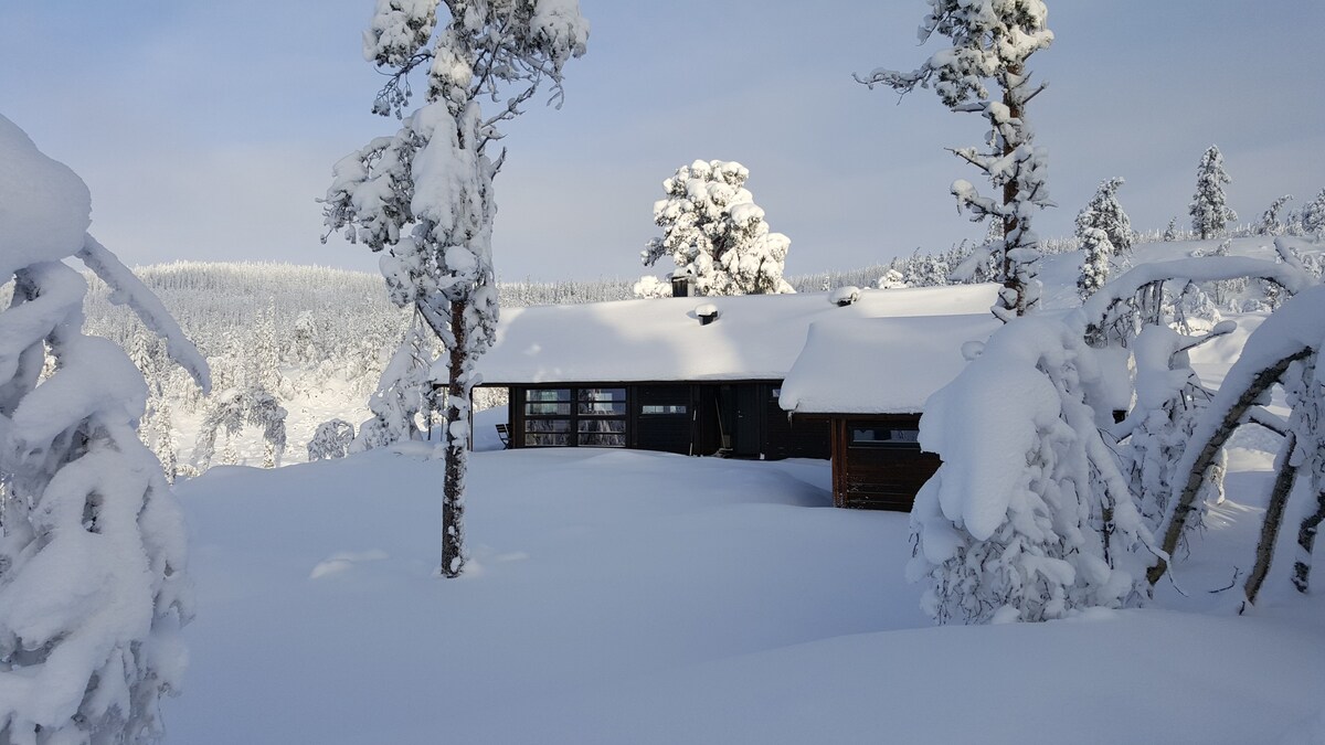 Sørbølhytta -可欣赏全景的现代Ål小木屋