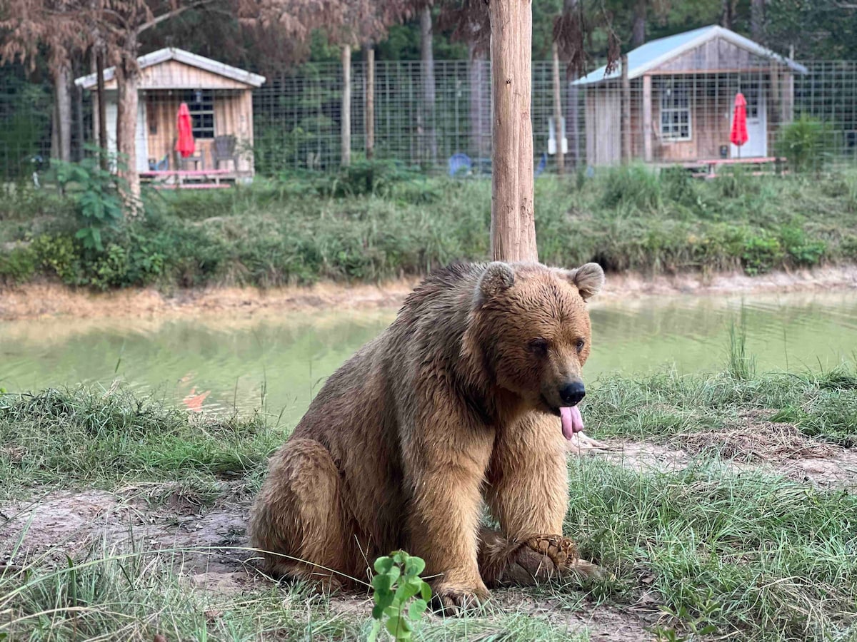 Tonks小木屋