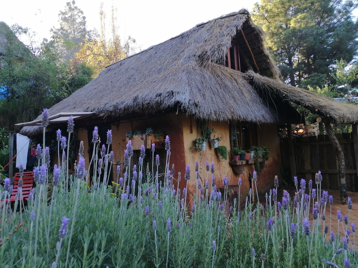 Casa de Yani in San Sebastián Rio Hondo, Oaxaca.