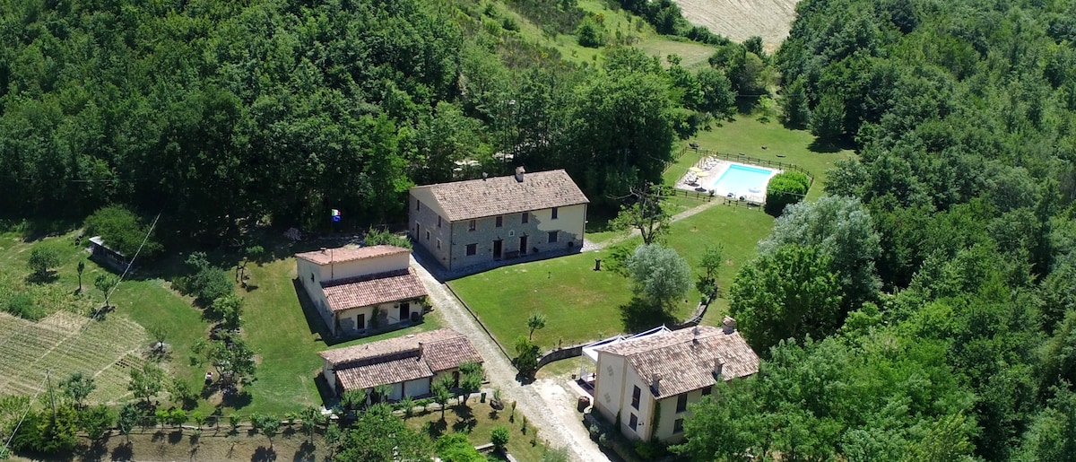 Villa nel verde con piscina