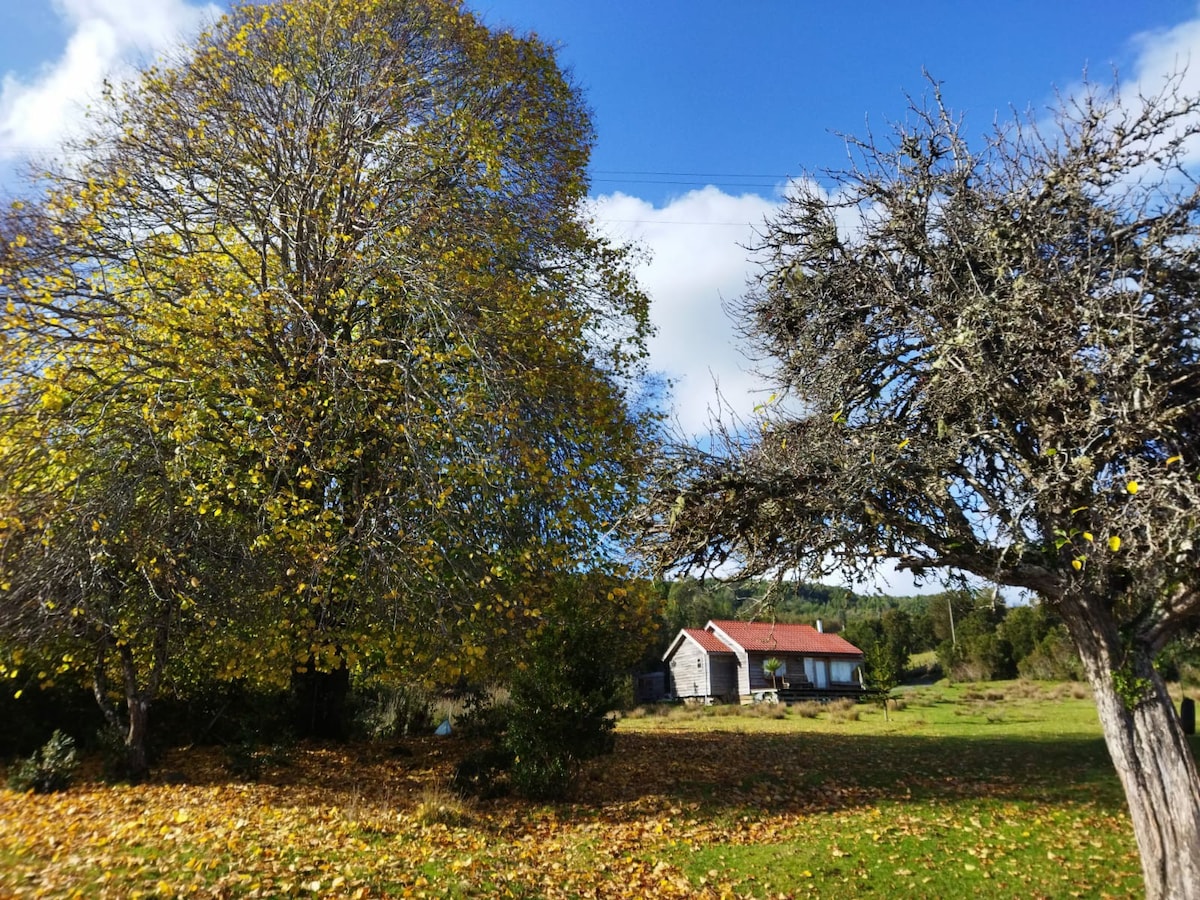 Cabaña en Chiloe a orillas del Lago Natri