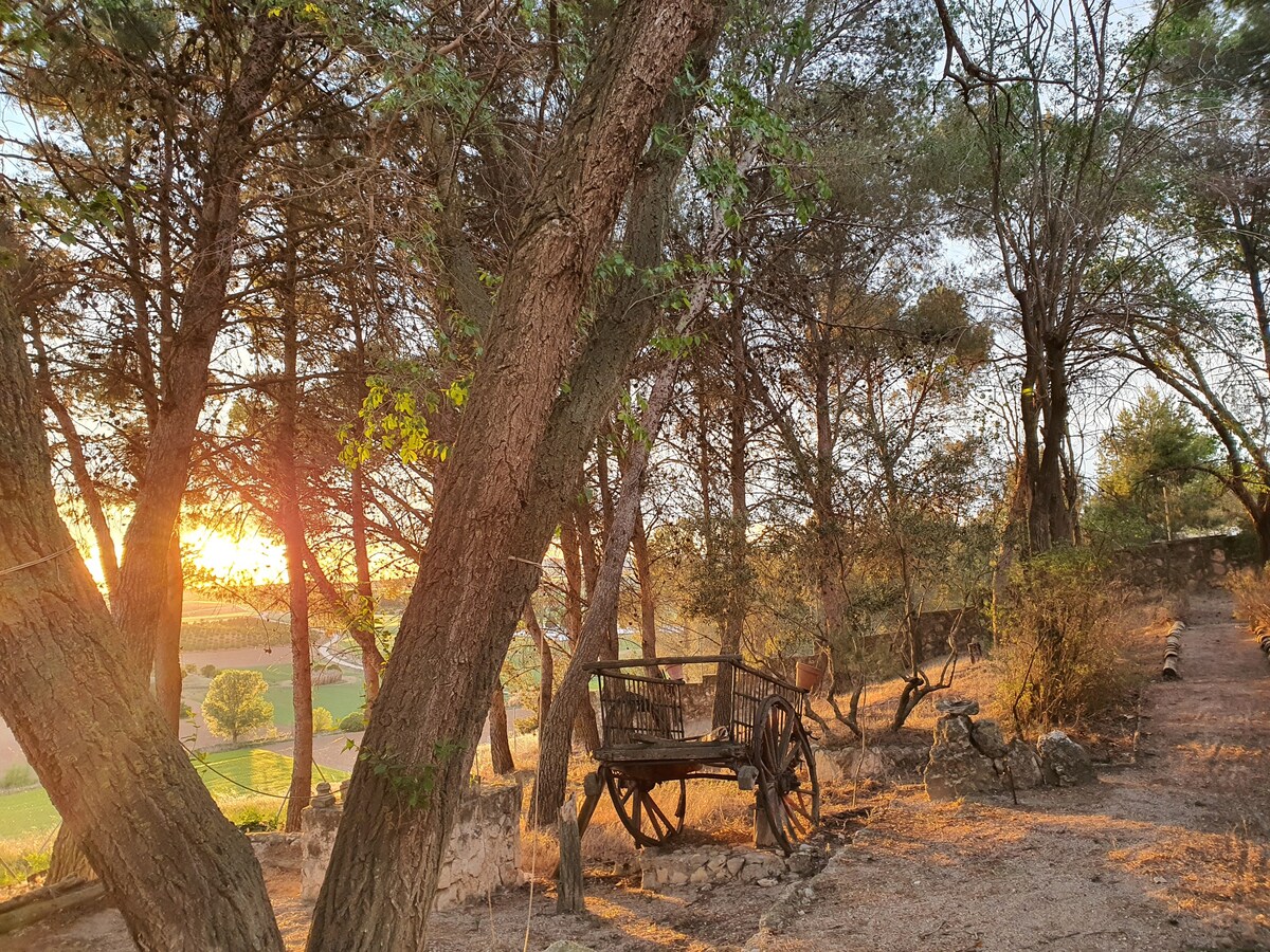 Preciosa finca en Tres juncos, Cuenca