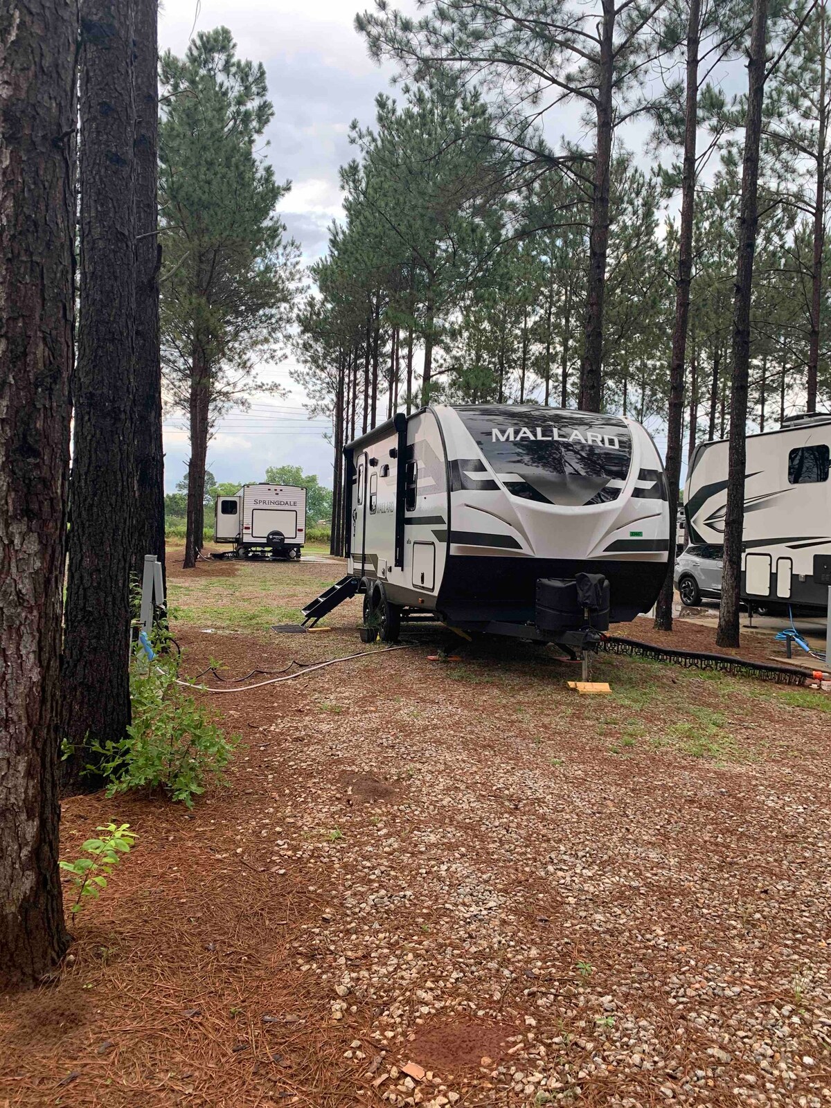 Freedom In the Pines - Comfy Camper