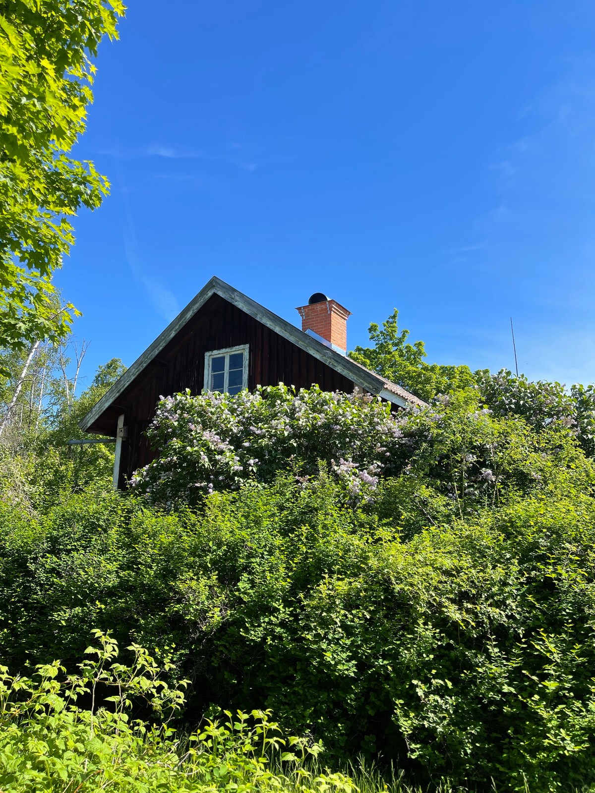 Cottage on island, in S:t Anna lovely archipelago!