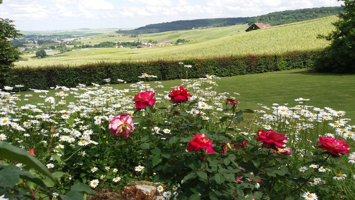 Le logis la Ravenne, Chardonnay房间