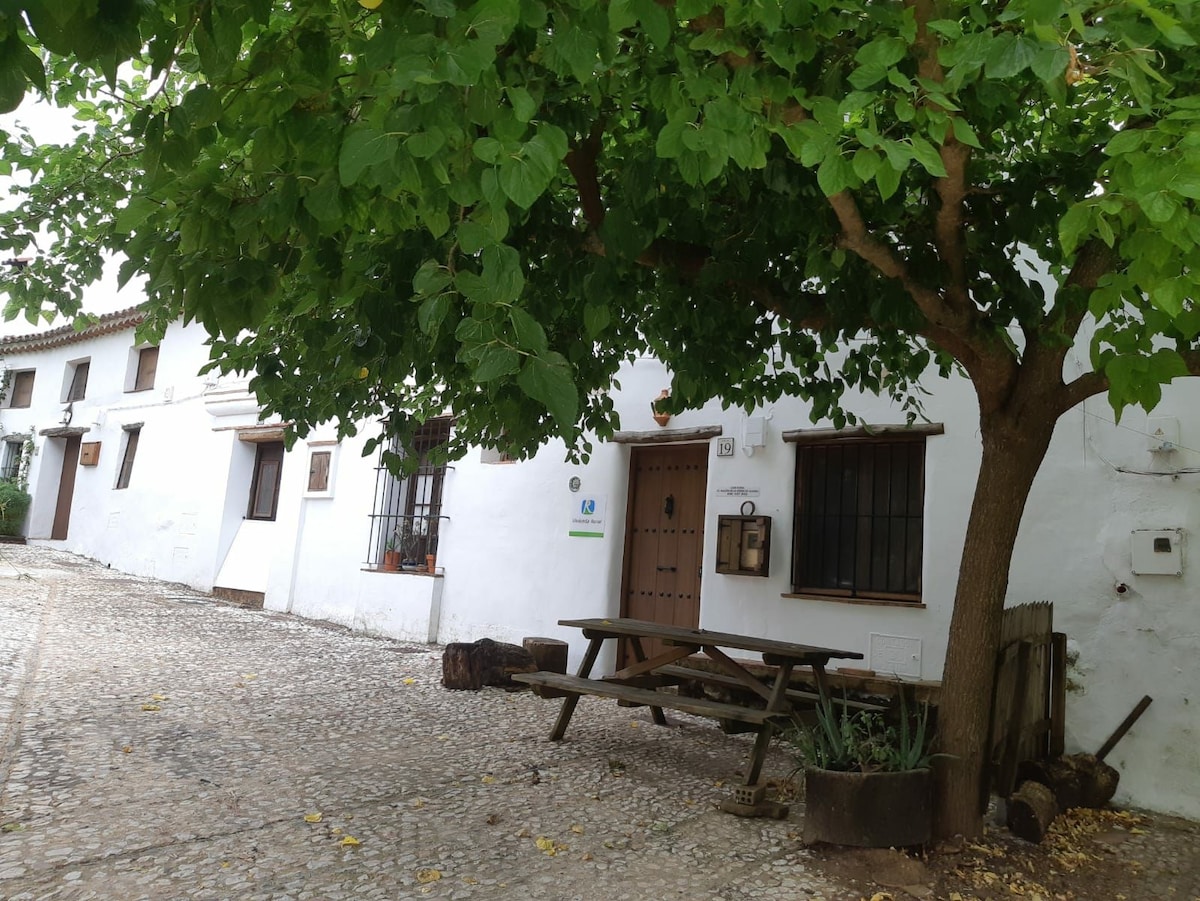 El balcón de la sierra de Alajar