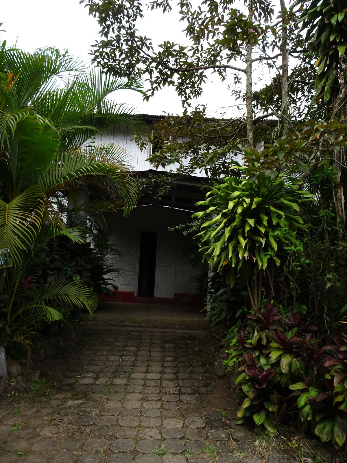 迷人的咖啡种植园和早餐之旅，包括