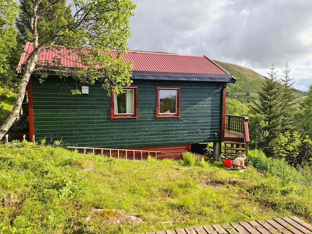 Andøy的民宿