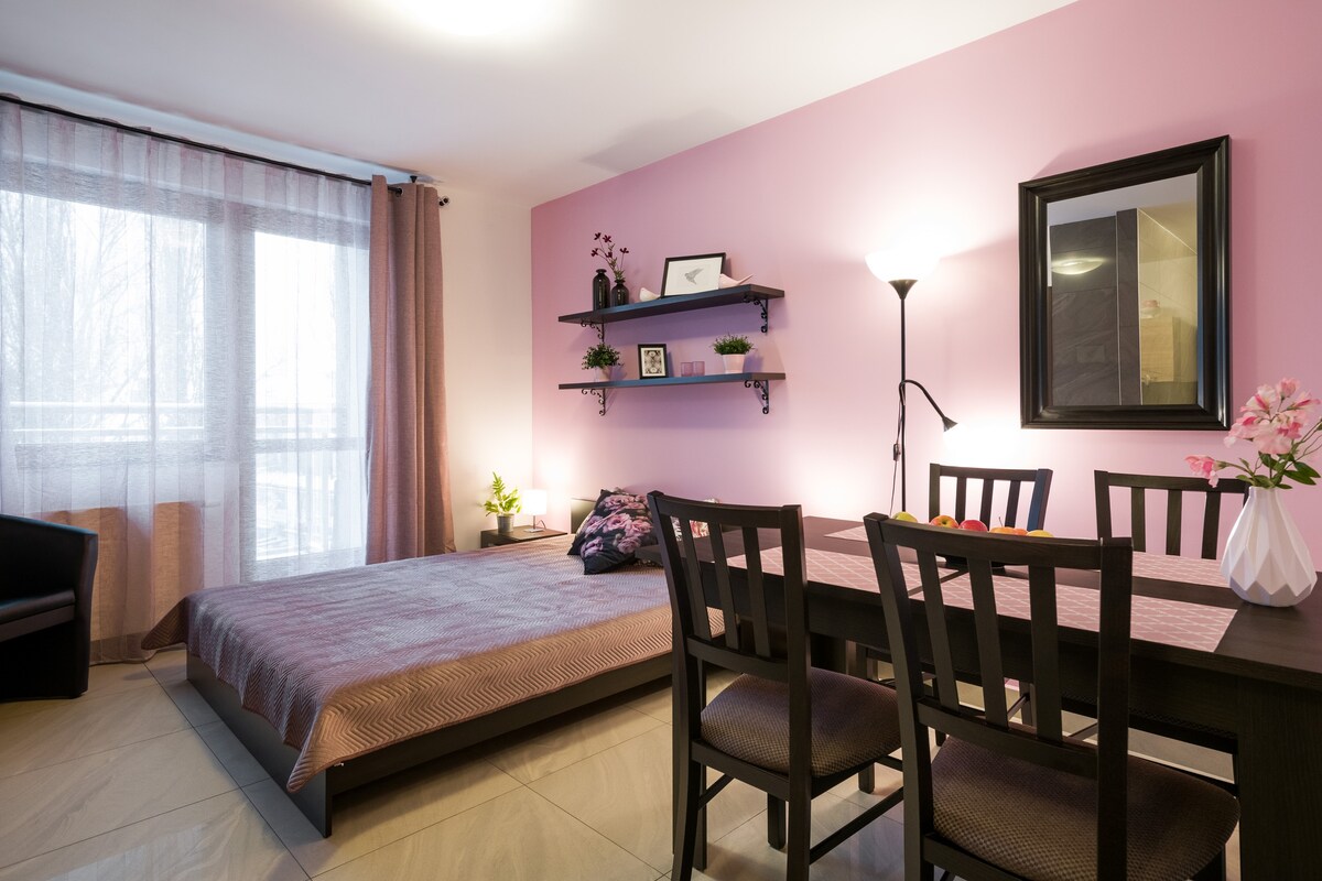 粉红色！ 1卧室公寓，位于克拉科夫市中心