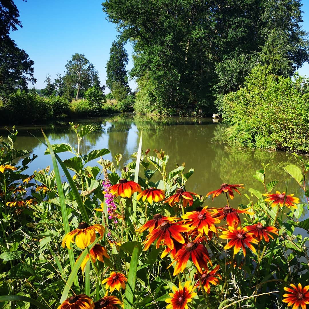 L'Etang Presents生态旅馆