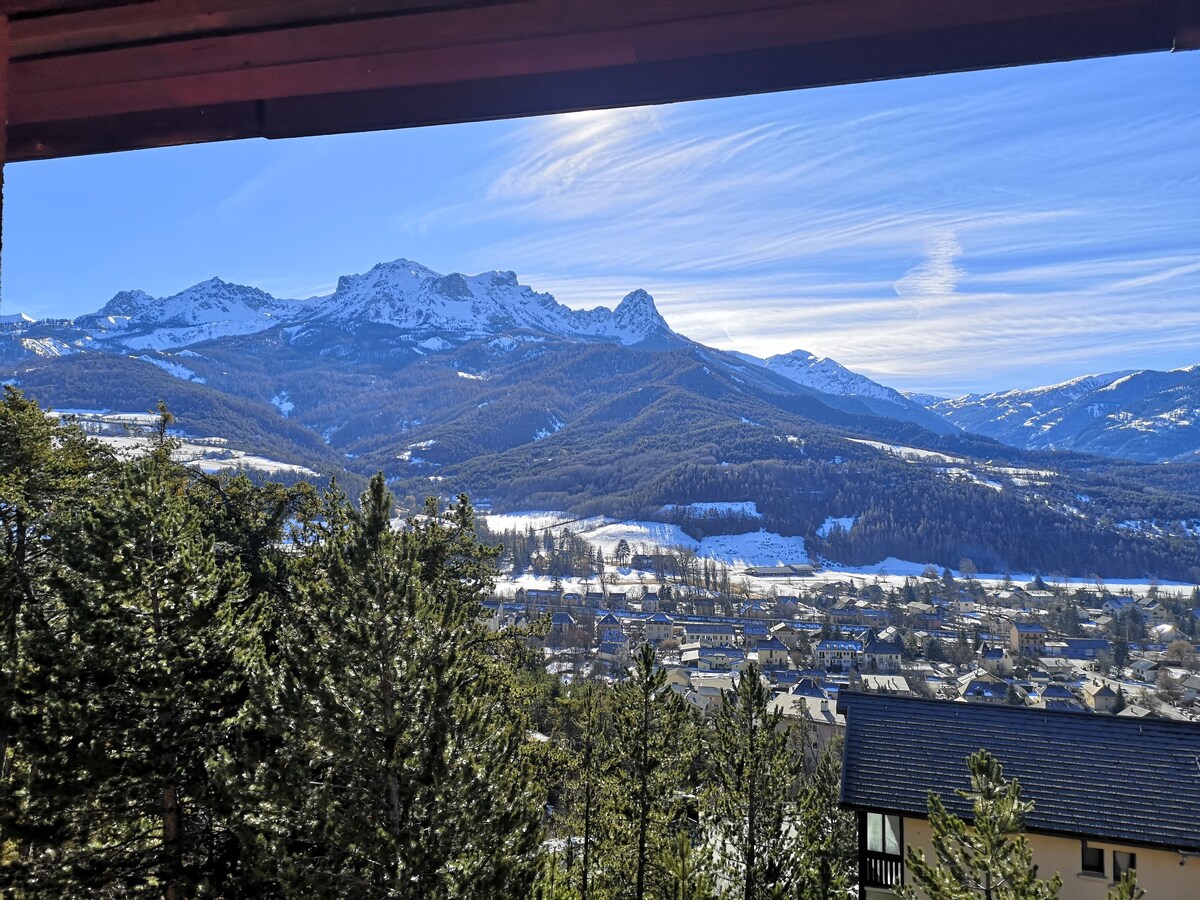 Chaleureux duplex avec vue. Calme et lumineux.