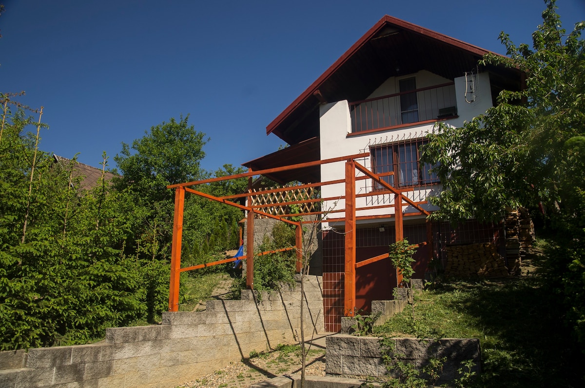 Summerhouse in nature yet in Prague