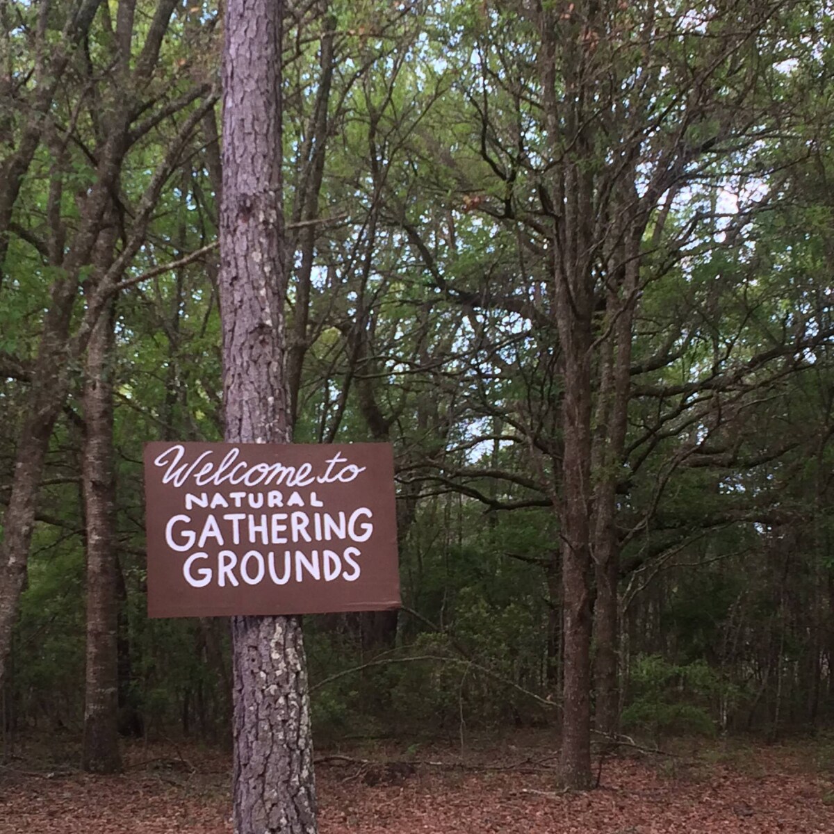 CAMPING at Natural Gathering Grounds