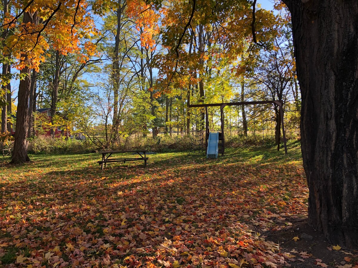 Beautiful 1830's farmhouse 15 minutes to Ithaca