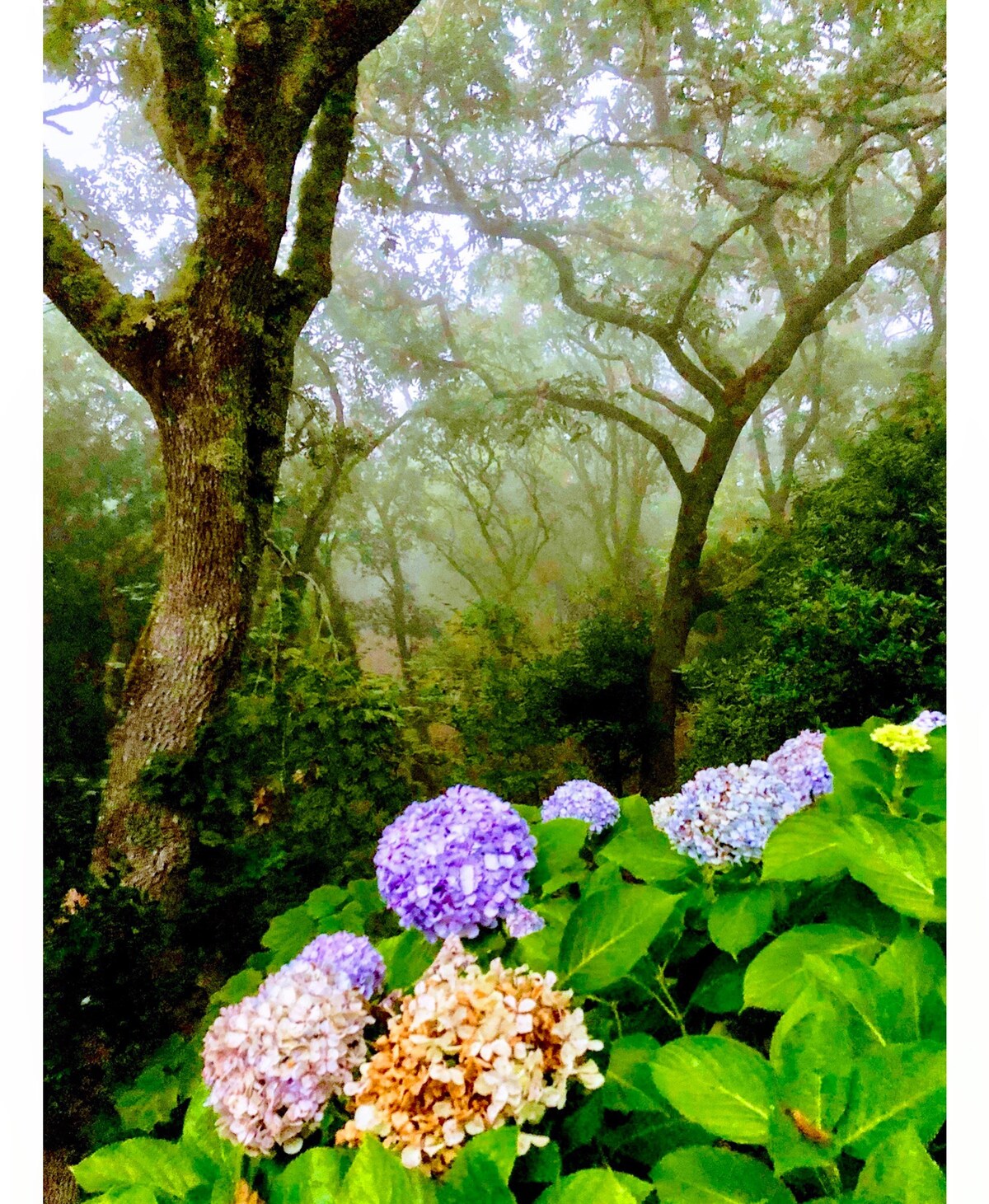 位于塞拉德辛特拉的生物农场，可欣赏美景