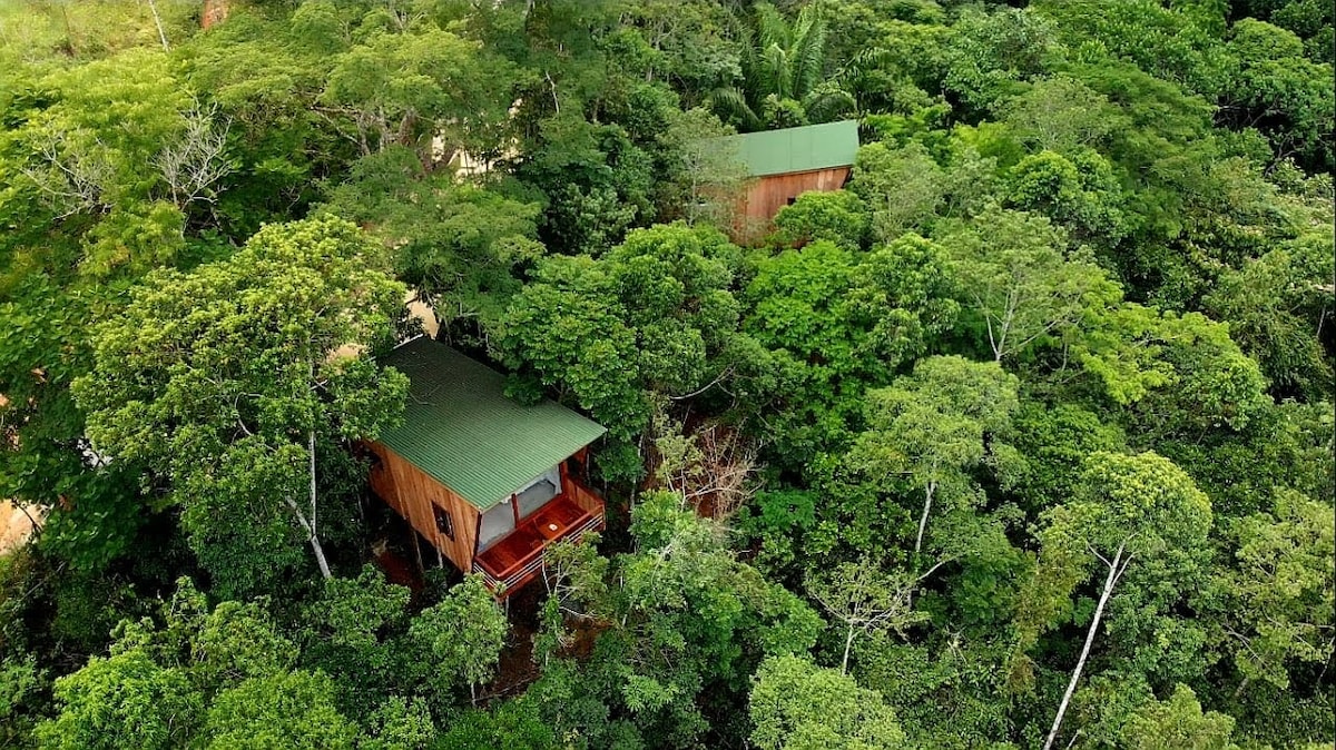 La Luciole Ecolodge - La Belle Vue不寻常的小木屋