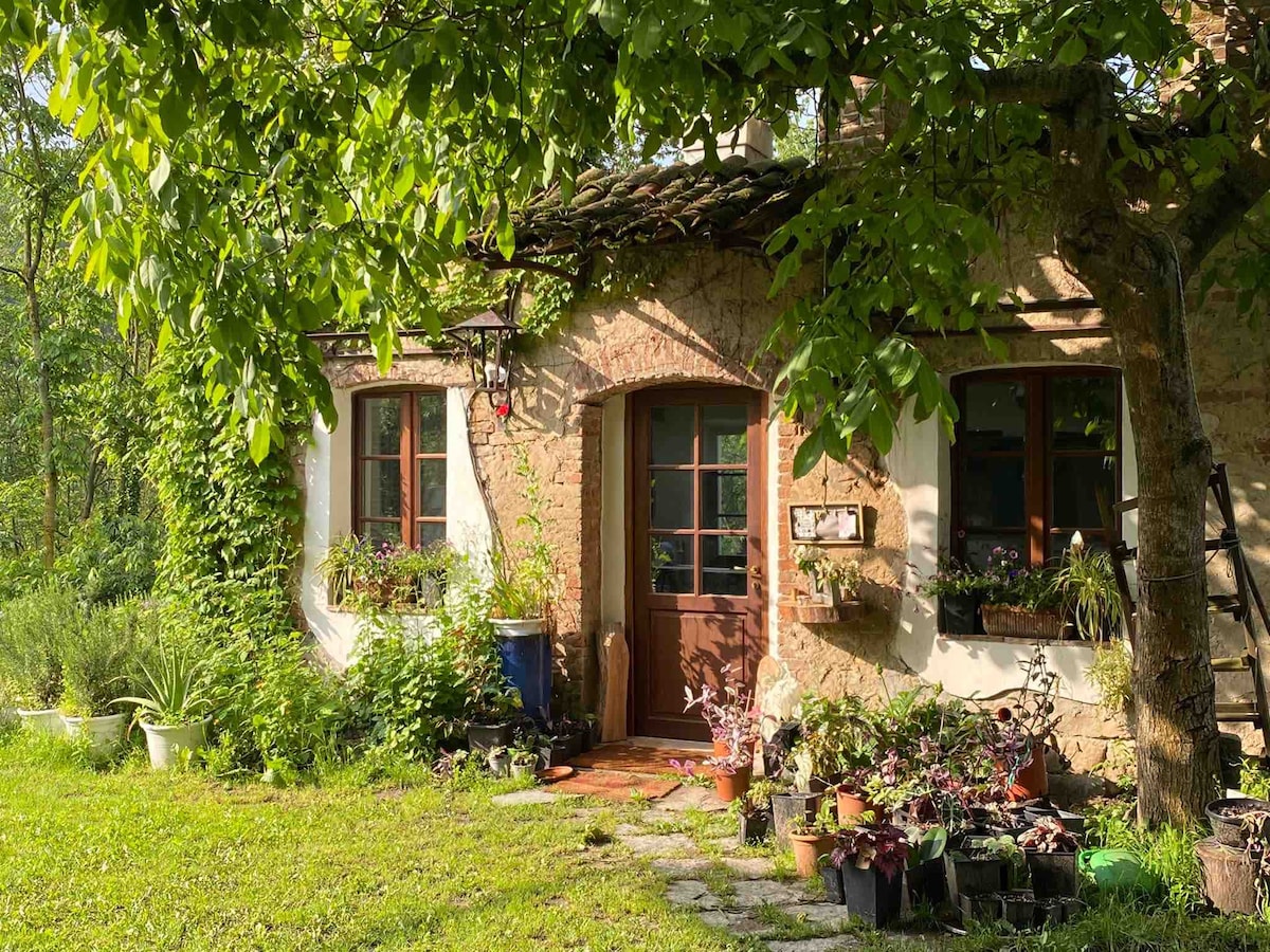 La Dimora delle Viole. Il tuo Chalet nel bosco.