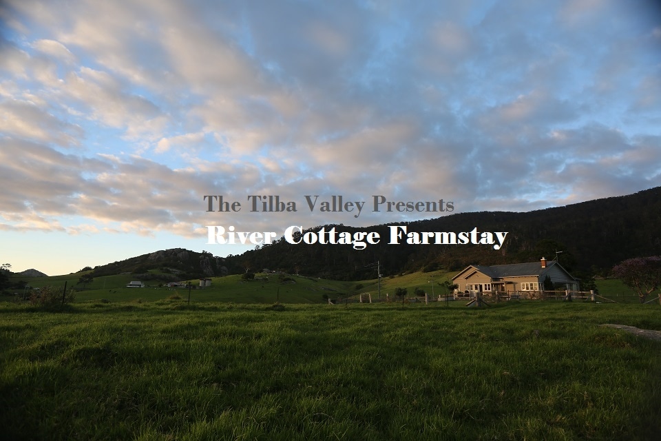 River Cottage - Central Tilba