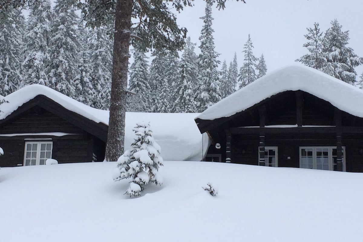 位于Trysil Fulufjellet的现代家庭小屋