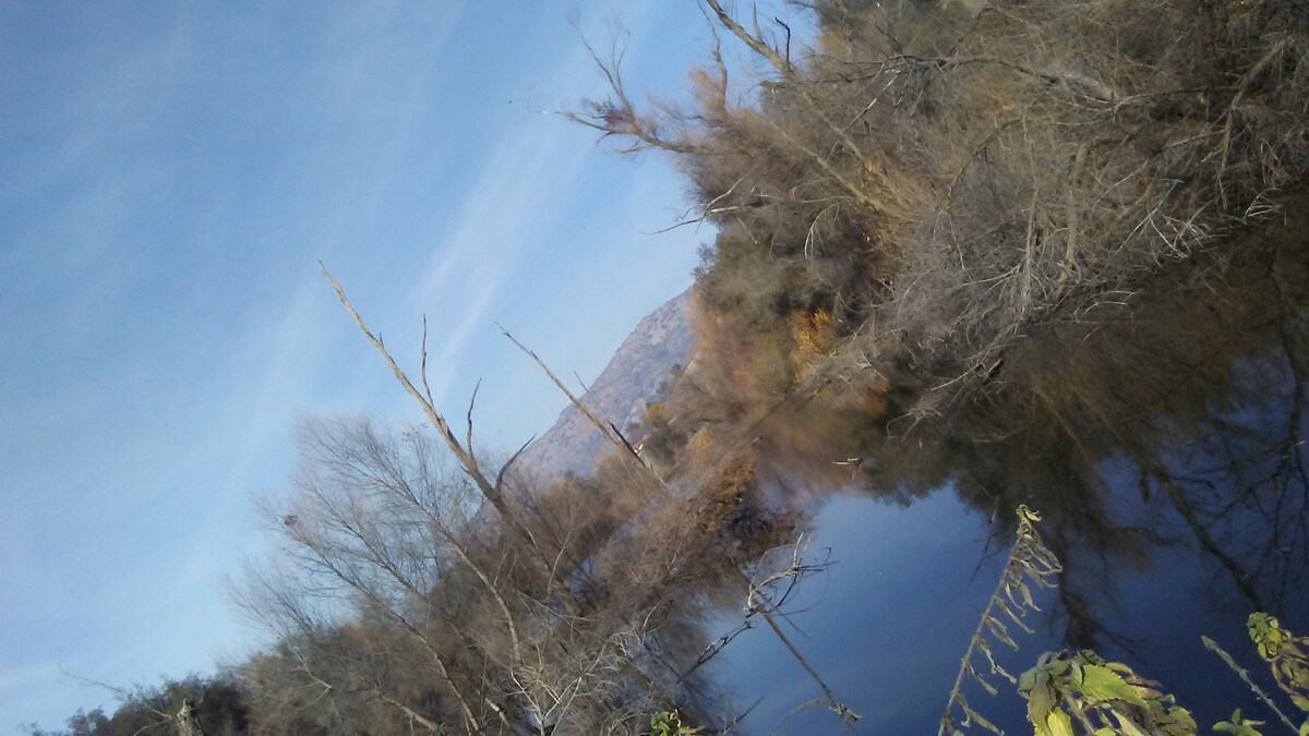 Lone Wolf Heated Tent Near Sequoia