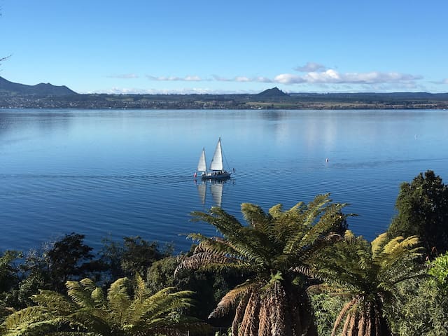 陶波(Taupo)的民宿