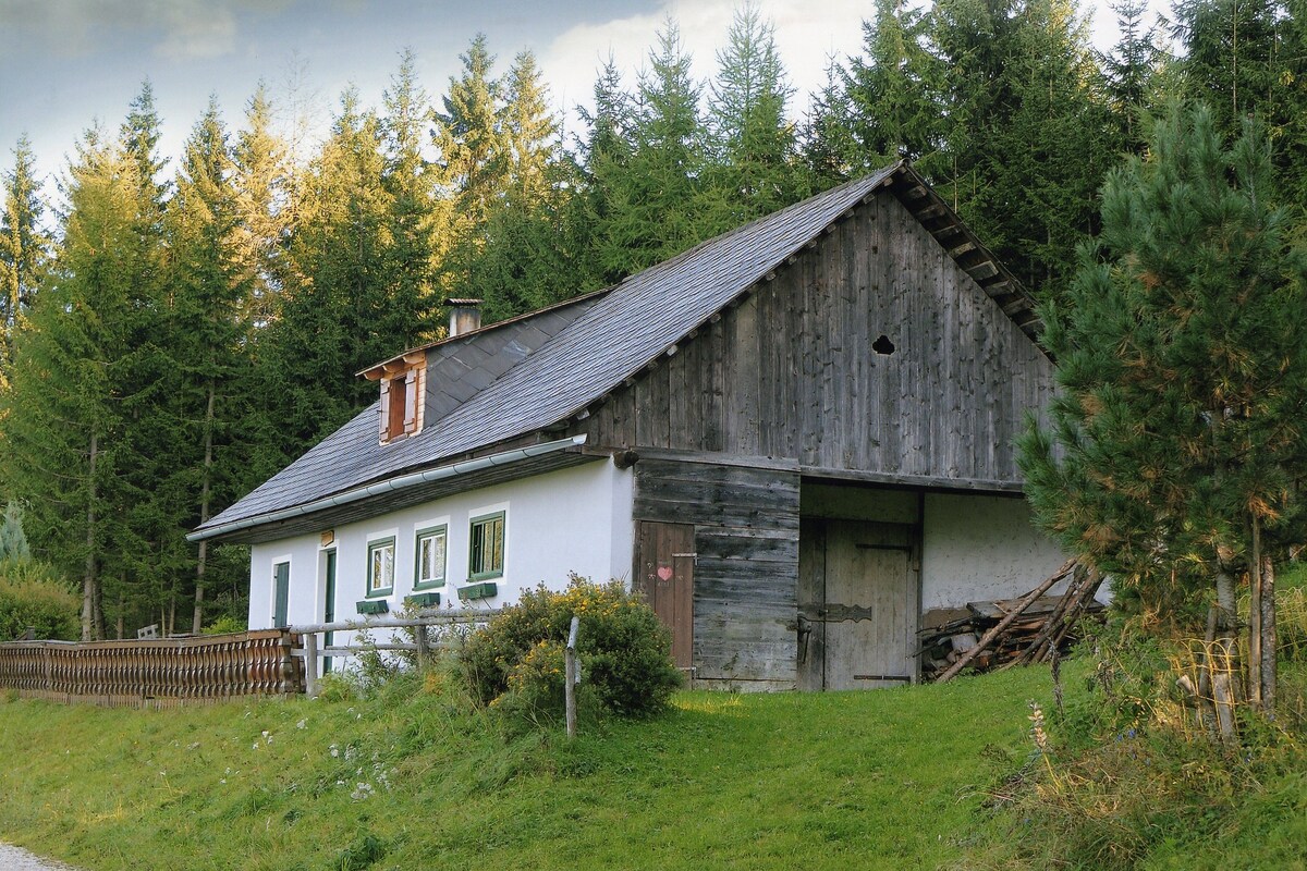 Brandner Hütte -my mountain home