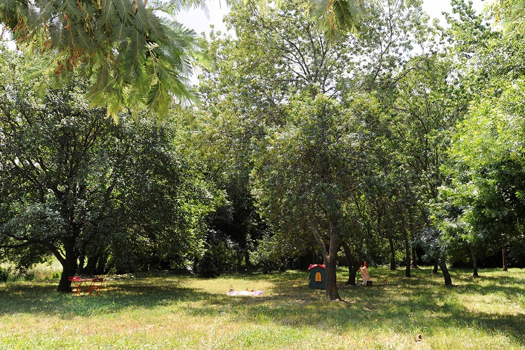 Roulotte  dans le petit camping de la ferme bio