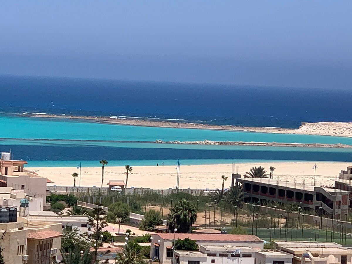 靠近海边的街景 🌊