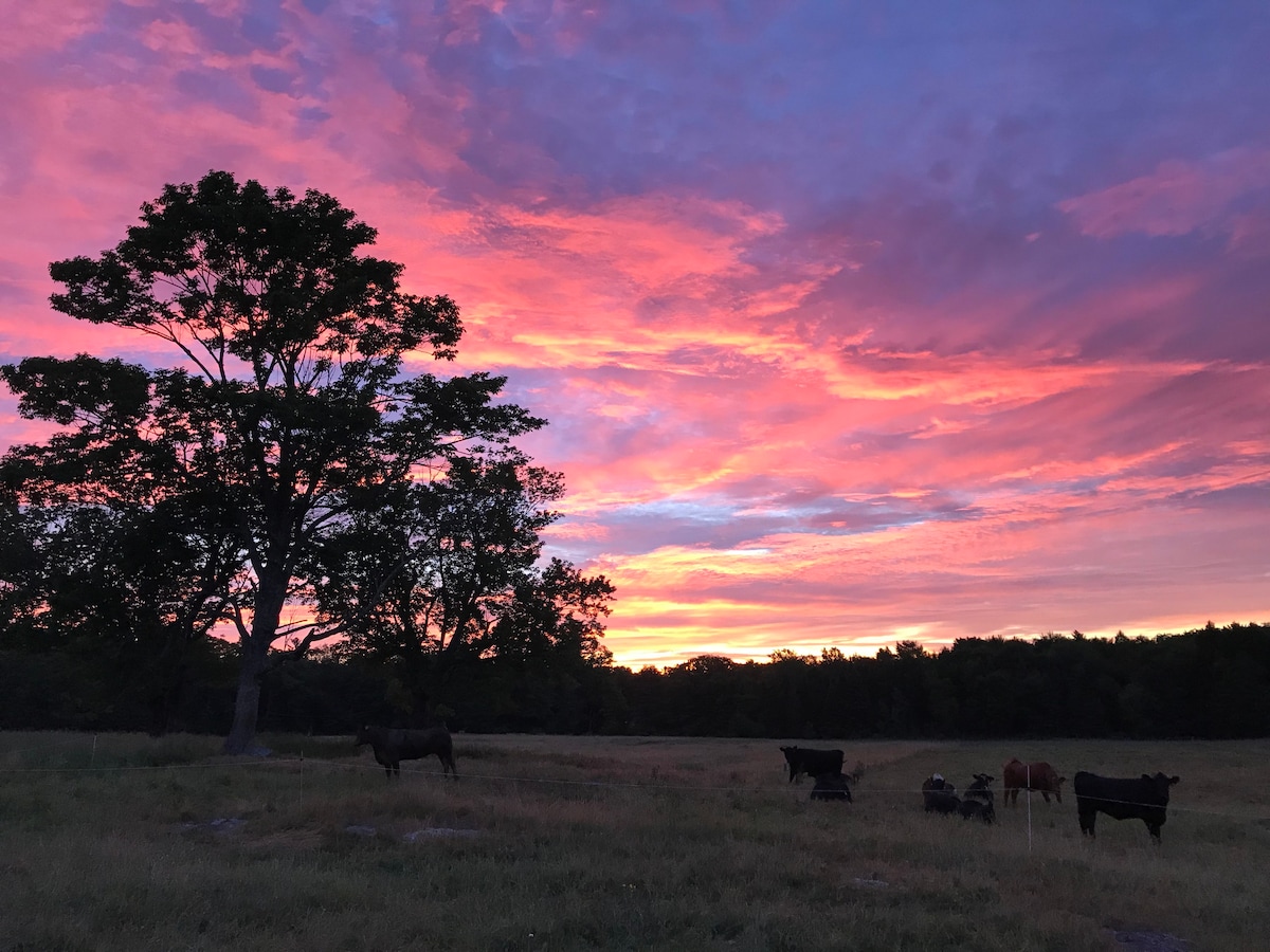 Brunswick Farm Stay