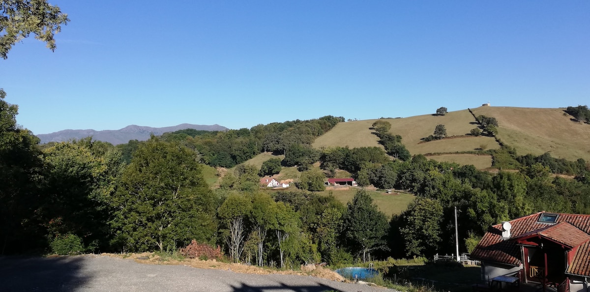 安静的巴斯克乡村住宿加早餐旅馆