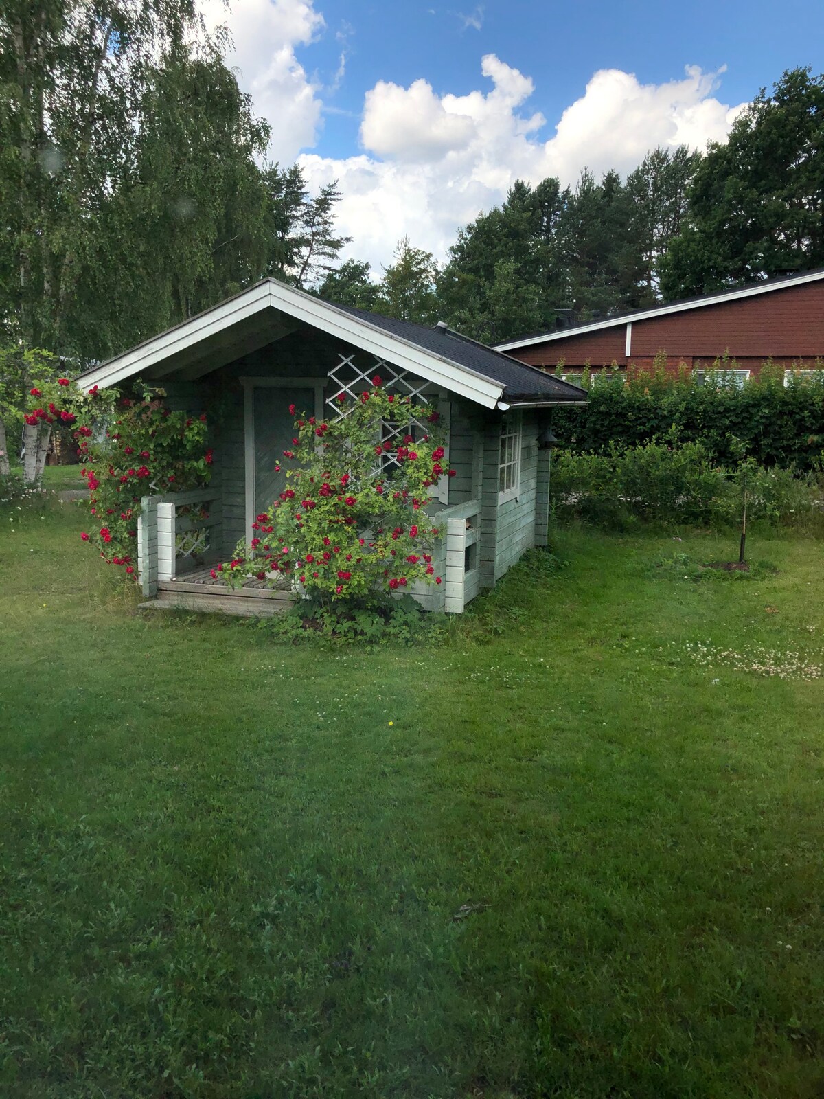 芬兰的好去处、桑拿房、大花园