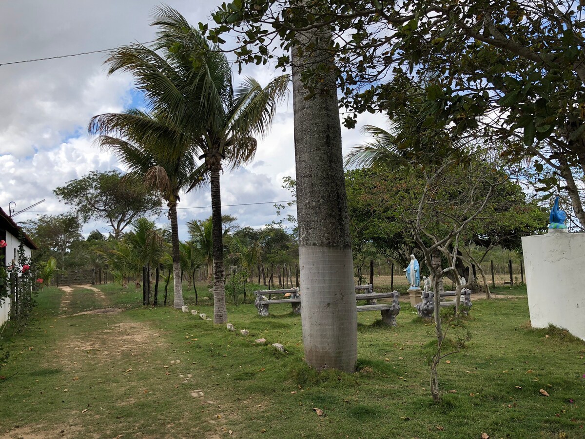 Fazenda Em Buique Pernambuco