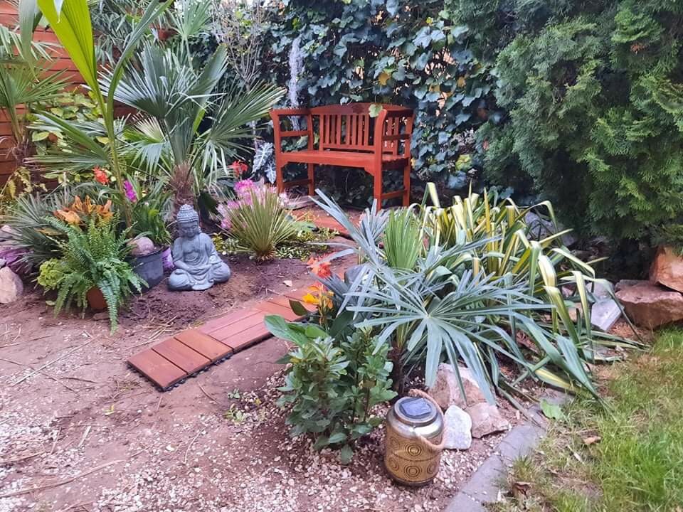 带小热带花园的房子