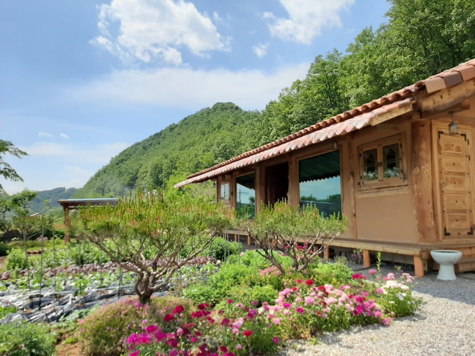 Yeongwol Earth House Pension (Grass Leaf Sound 1)