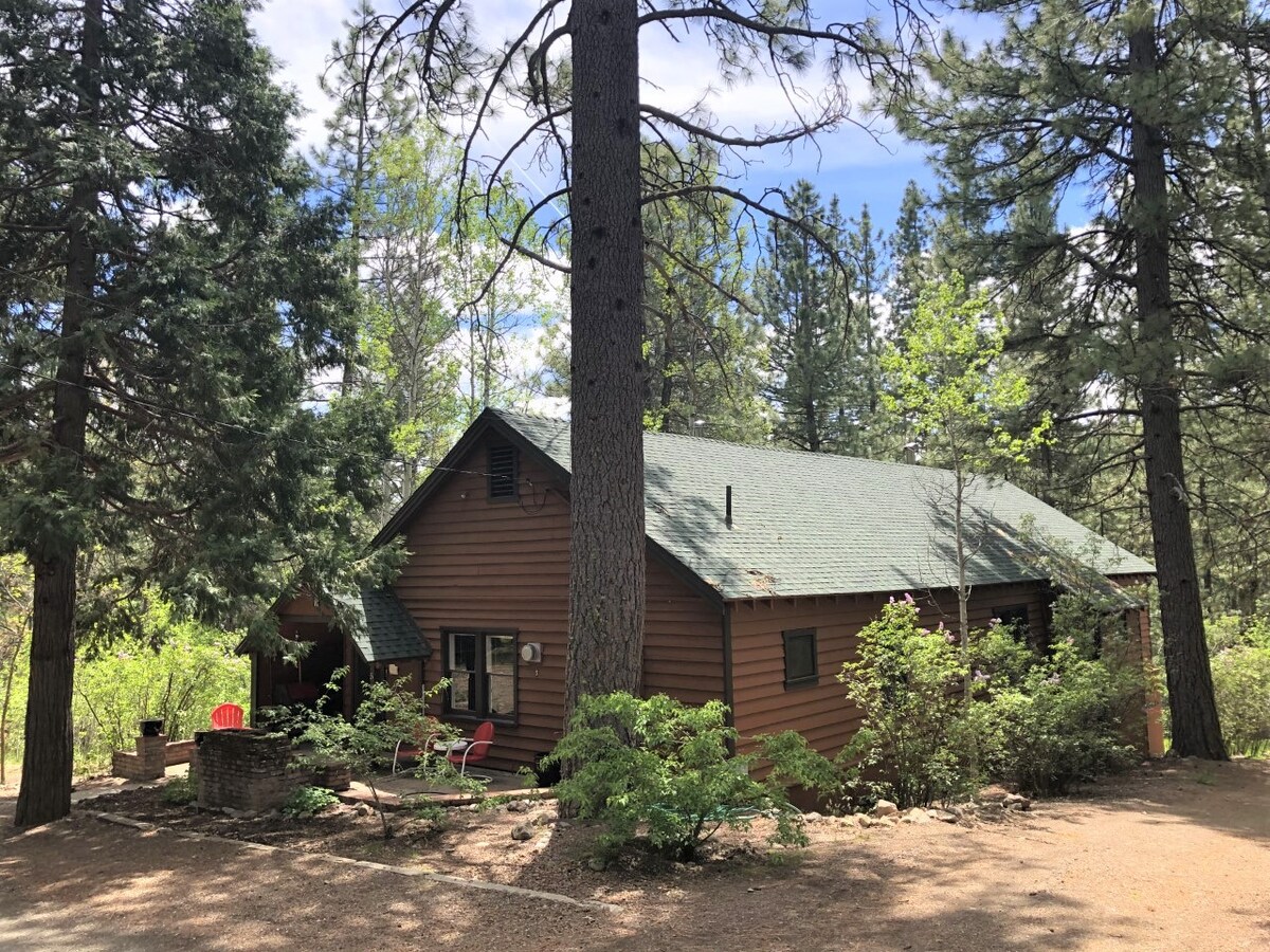 Nature Sabbatical ~ Peaceful Cabin on The Feather