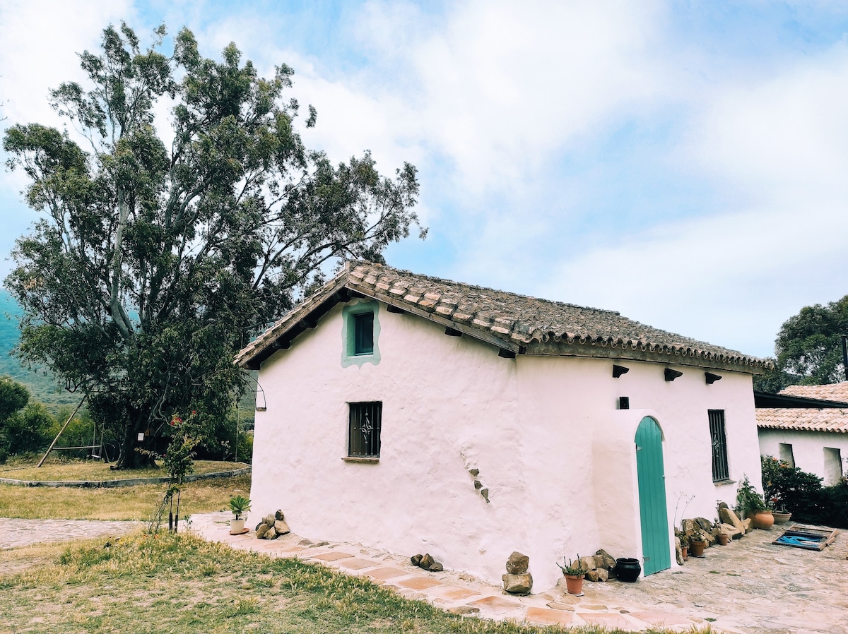 Casa Rural del Molino Dorado「Buganvilla」