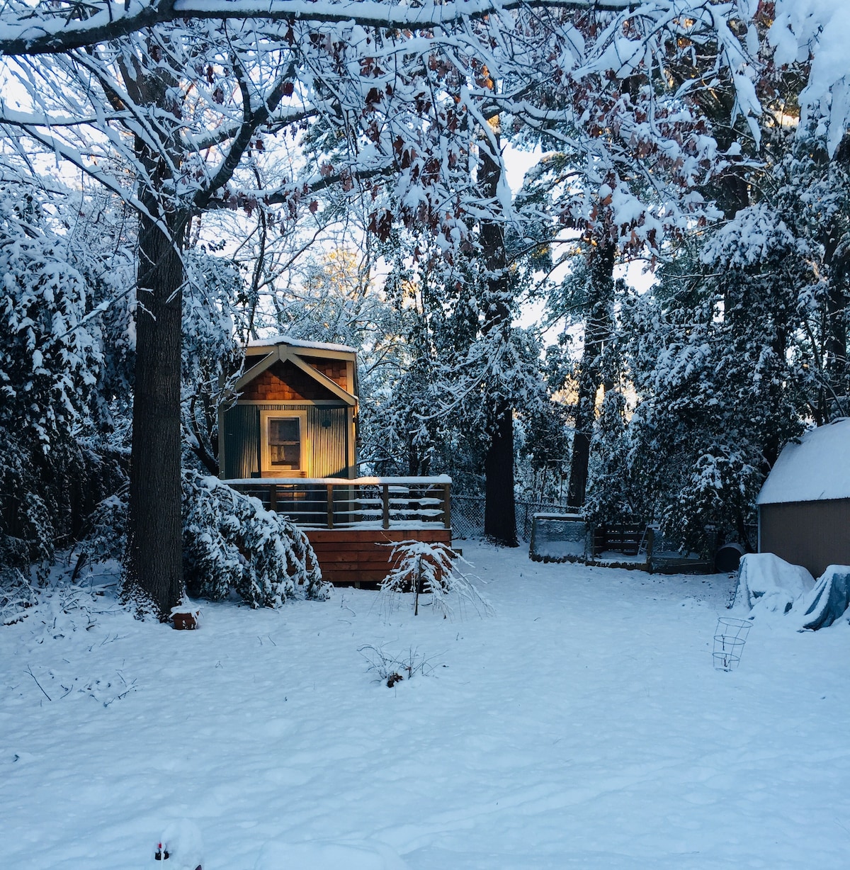 树树（ Tiny House in the Trees ）