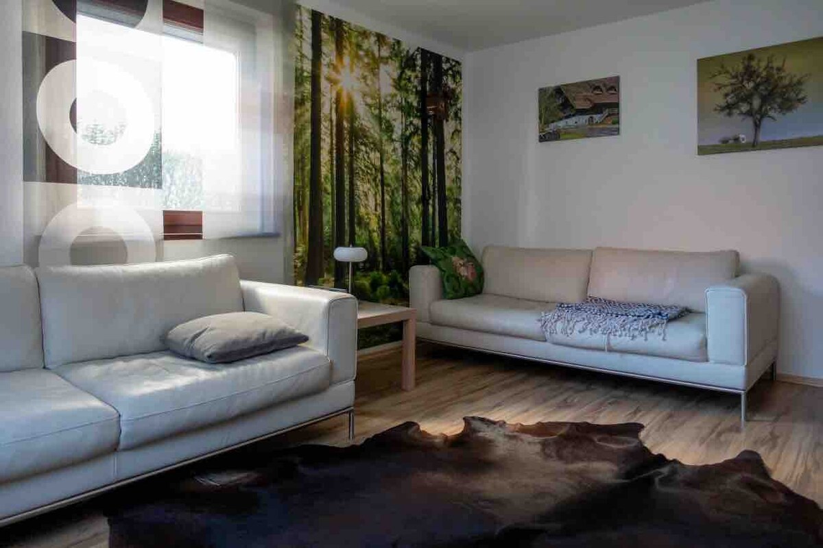 #黑森林# Mitte公寓，面积63平方米，可入住4人。