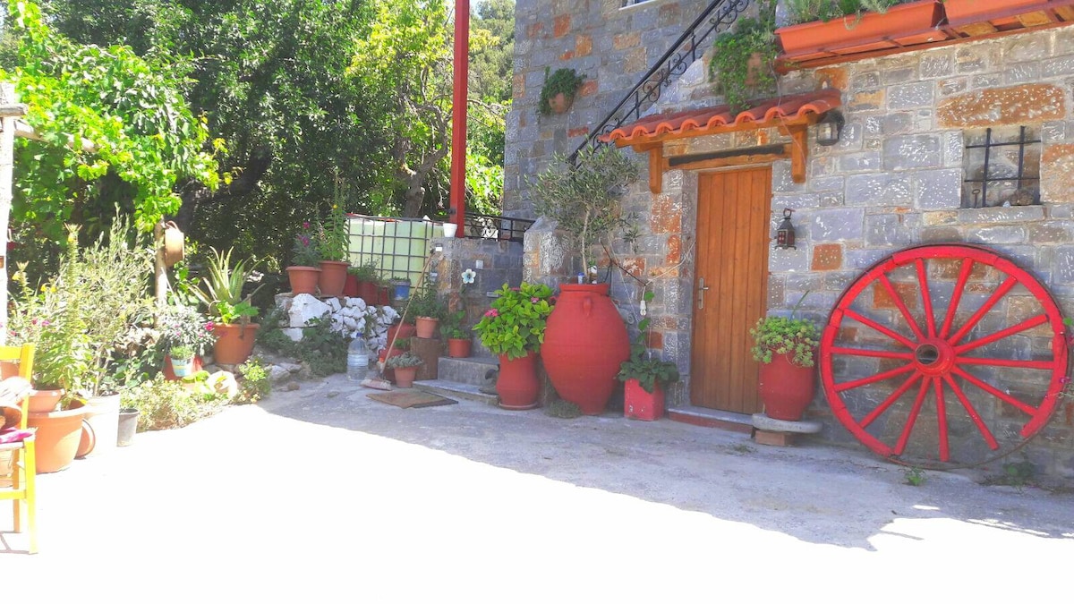 Green house/Plati,Lasithi Plateau