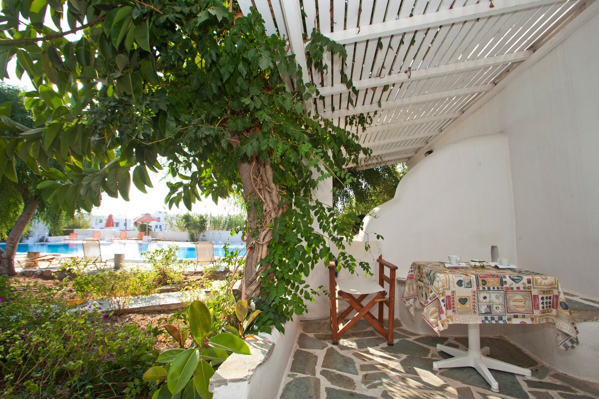 带泳池景观的单间公寓， 2位成人，位于Agia Anna中心