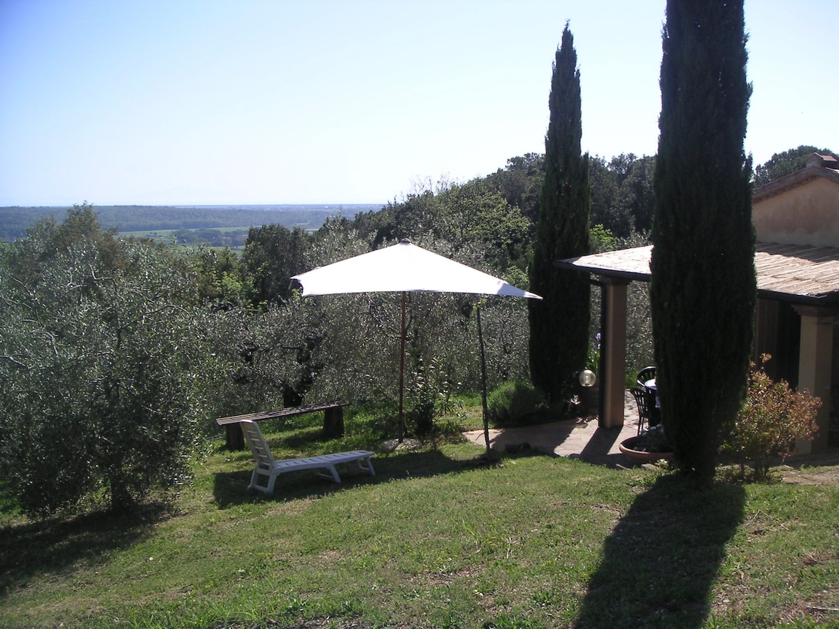 Casa Belvedere -木头和橄榄树之间的宁静-