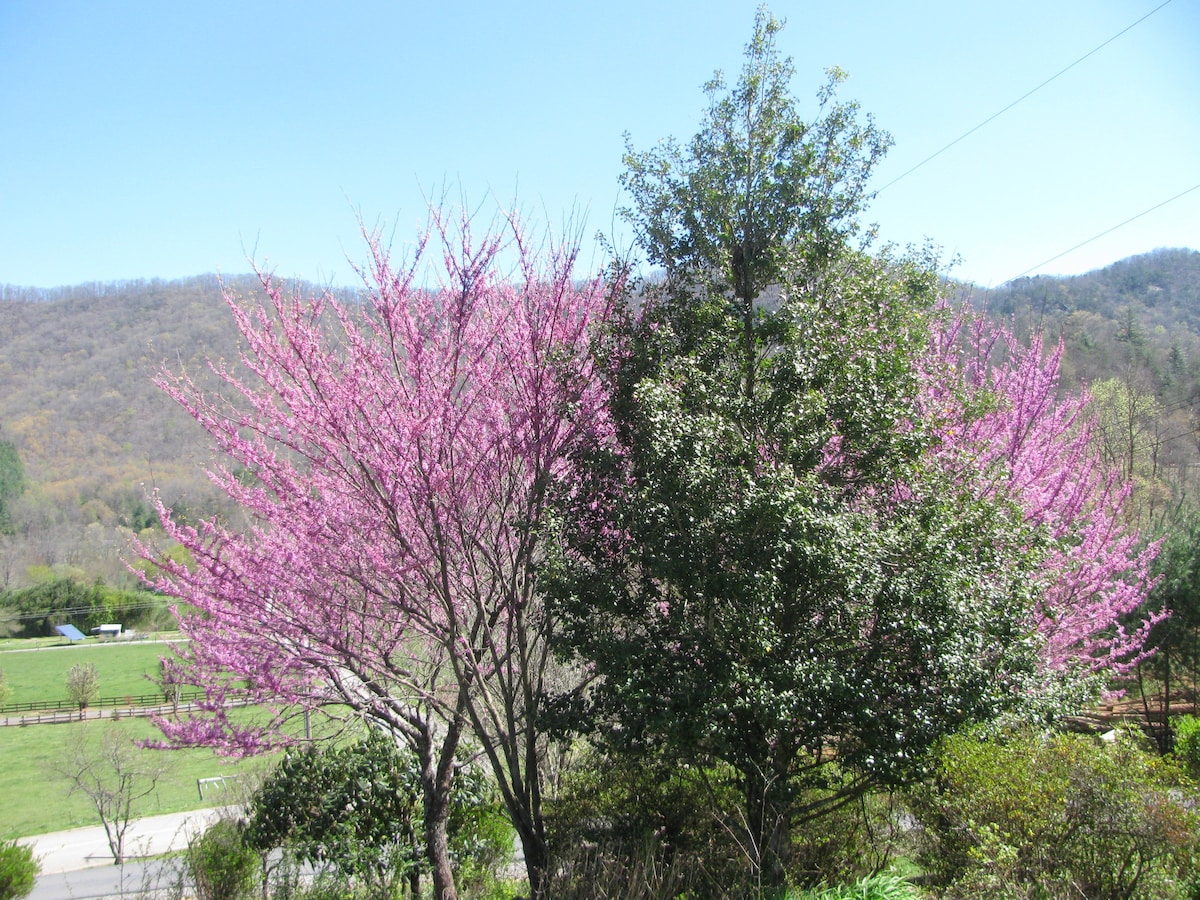 Tuckaseigee Valley Cabins的红屋顶