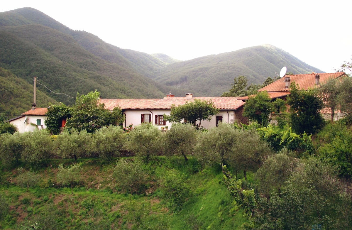 Agriturismo il Giglio e la Rosa