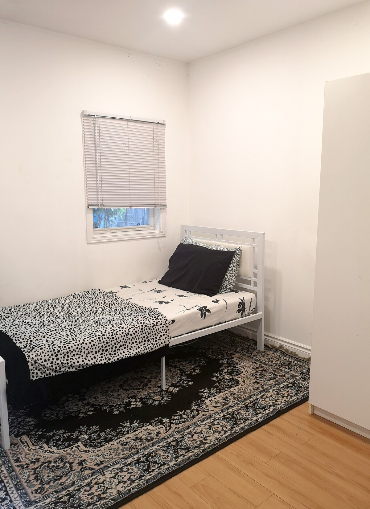 Small cozy suite in the heart of Kensington Market