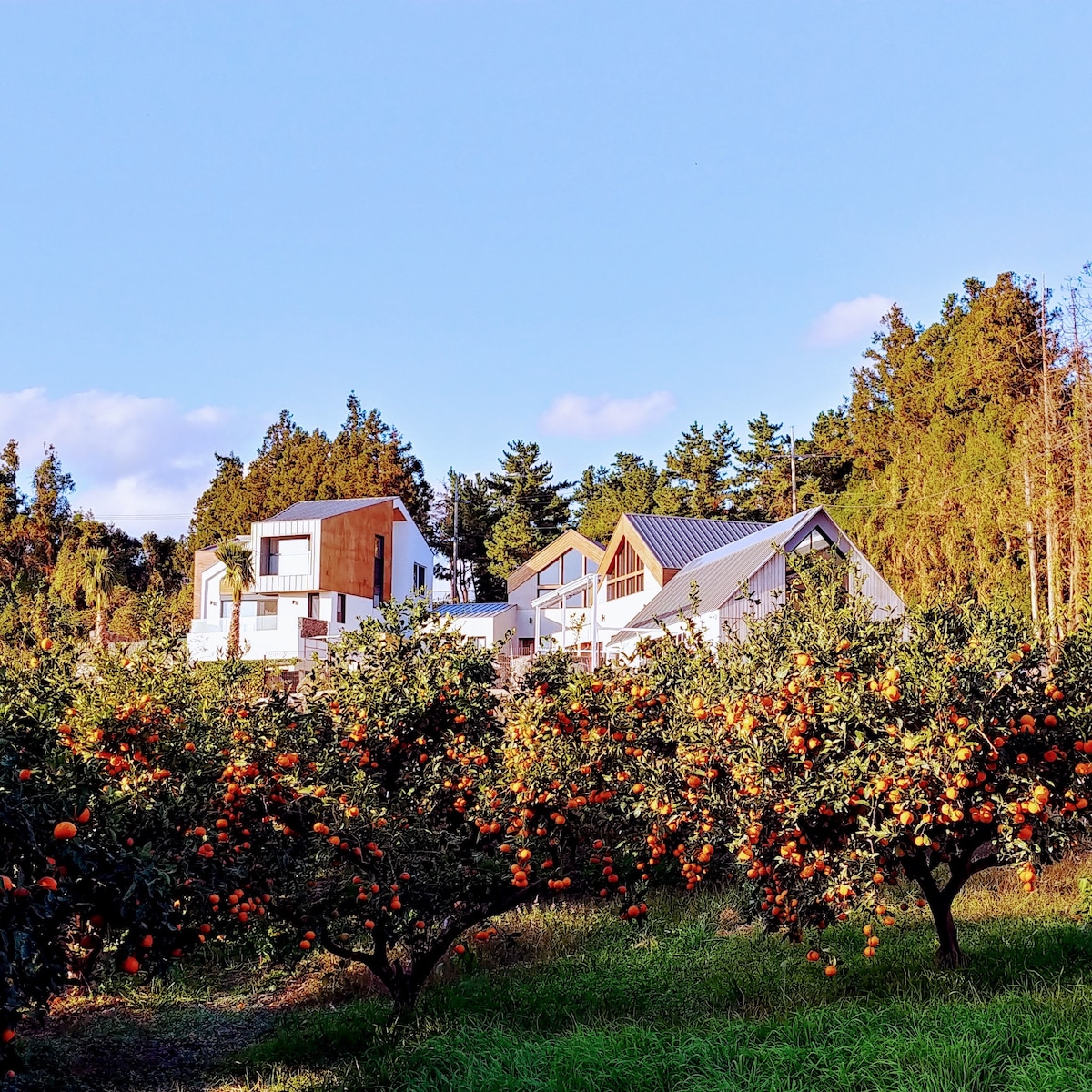 # Seogwipo市的私人疗愈住宿/Staywalden Studio Cabin [1]/2晚或更长时间